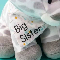 Cricut EasyPress Mini™, Raspberry -cricut shop unnamed file 45