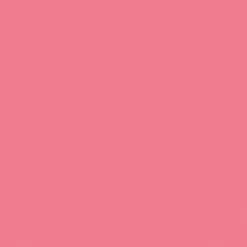 Cricut Everyday Iron-On™ Sampler, River Bloom -cricut shop unnamed file 850