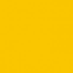 Cricut Infusible Ink™ Transfer Sheet Patterns, Wildflower -cricut shop unnamed file 890